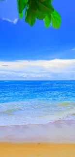 Beautiful beach with blue sky and ocean waves.