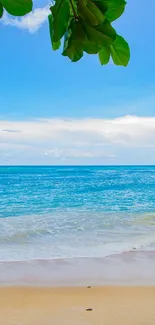 Tropical beach with ocean waves and green leaves overhead.