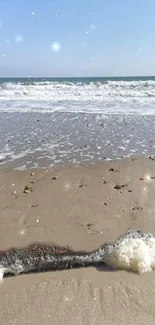 Calm beach scene with gentle waves and sandy shore.