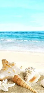 Beach wallpaper with seashells and blue ocean.