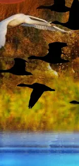 Bird silhouettes over a sunset-lit lake, reflecting autumn colors.