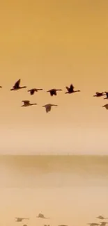 Birds flying in a golden sky at sunset with reflections.