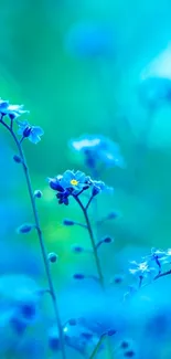 Tranquil blue flowers in nature wallpaper.