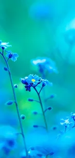 Tranquil blue floral mobile wallpaper with delicate flowers.