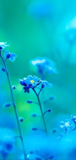 Tranquil blue floral wallpaper with delicate flowers.