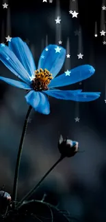 Mobile wallpaper featuring a blue flower with a dark background.