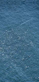 A tranquil blue ocean with sunlight reflections.