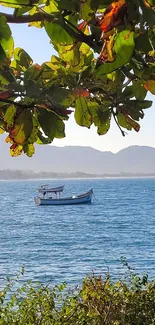 Serene boat on blue sea with green leaf frame.