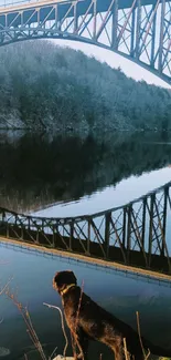 A scenic view of a bridge over a river with a dog in the foreground.