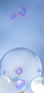 Serene phone wallpaper with floating colorful bubbles and a sky blue background.