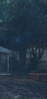 Cozy cabin under rainy forest night.