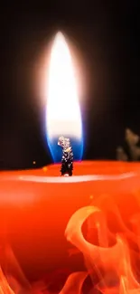 Close-up of two glowing red candles in the dark.