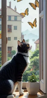 Cat by the window with butterflies outside on a sunny day.