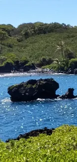 Tranquil coastal landscape with blue waters and green plants.