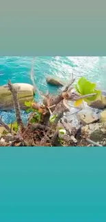 Mobile wallpaper featuring a serene coastal scene with turquoise water and rocks.