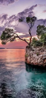 Scenic sunset with tree-lined coast and turquoise waters.