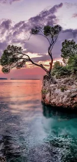 Scenic coastal sunset with a lone tree on a cliff overlooking tranquil waters.