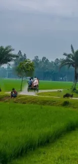 Scenic countryside with green fields and a rustic pathway.