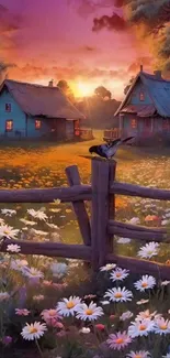 Daisy field with cottage under sunset sky.
