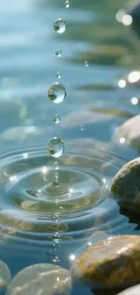 Water droplets creating ripples among stones.