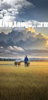 Farmer and cow in golden field with dramatic clouds overhead.