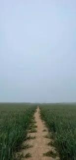 Tranquil path through green field under a vast sky, embodying peace and simplicity.