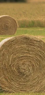 Serene mobile wallpaper featuring hay bales in a tranquil field.