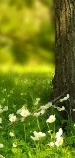 Serene green meadow with tree and flowers.