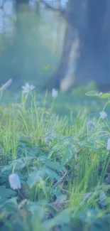 Serene green forest with delicate white flowers in bloom.