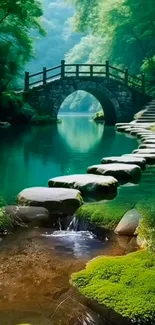 Tranquil forest bridge over a river with stepping stones.
