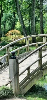 A serene wooden bridge in a lush green forest setting, ideal for nature lovers.