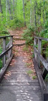 Tranquil wooden bridge in a lush forest setting for mobile wallpaper.