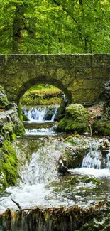 Stone bridge over a waterfall in a lush green forest.