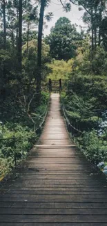 Wooden bridge in lush green forest, serene mobile wallpaper.