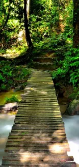 Wooden bridge in a lush green forest with sunlight filtering through trees.