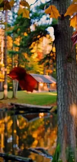 Autumn forest cabin with pond reflection and vibrant leaves.