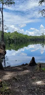 Serene forest lake with reflective water and tall trees under a cloudy sky.