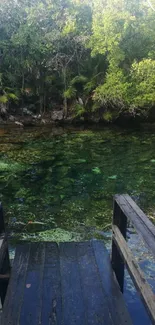 Serene green forest lake with a wooden pier.