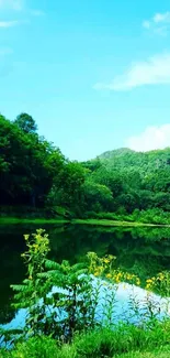 Serene forest lake with lush greenery and clear blue sky.