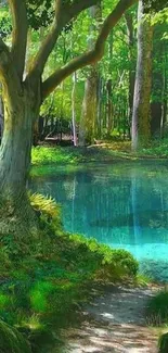 Majestic forest lake with lush greenery and tranquil waters.