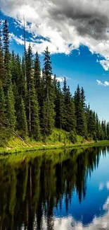 Serene forest lake reflection under a dramatic sky.