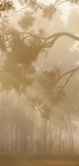 Golden mist envelops a tranquil forest in this serene mobile wallpaper.