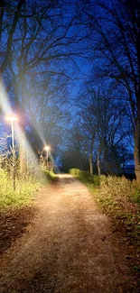 Tranquil forest pathway at night with glowing streetlights.