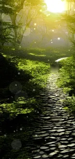 Sunlit forest path with green foliage and scattered light.