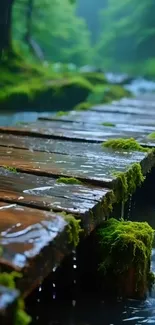 Peaceful forest pathway with wooden bridge over a stream.