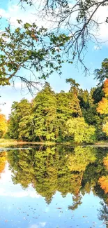 Scenic forest with lake reflections and autumn colors in a serene landscape.