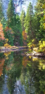 Reflective forest river with lush trees in serene nature setting.