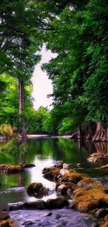 Tranquil forest river flowing through lush green trees.