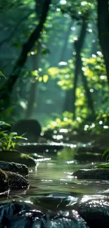 Tranquil stream flowing through a lush green forest.