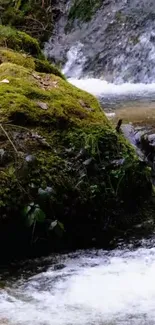 Lush mossy rock by a cascading forest stream.